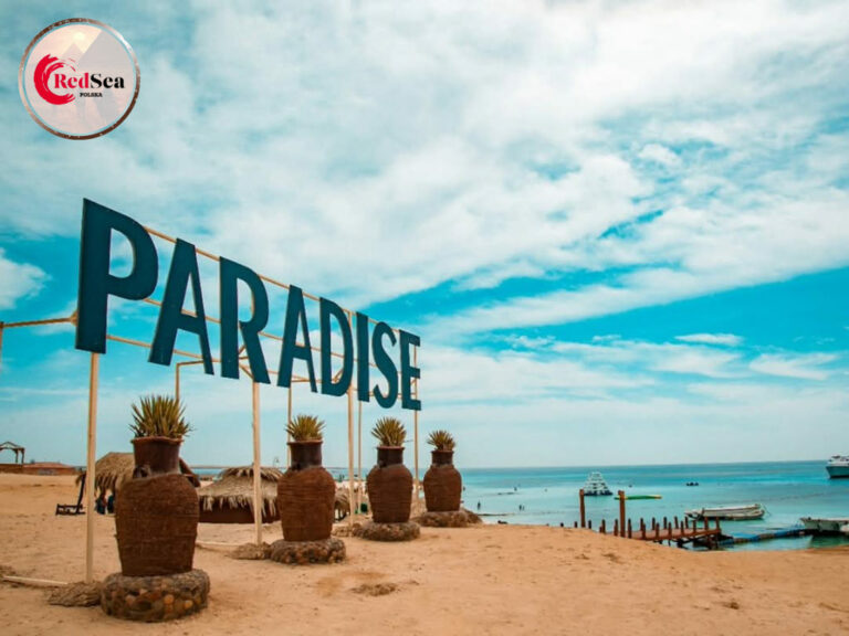 wycieczki-hurghada-redseatrips-pustynne-morskie-kair-luksor-piramidy-quady-delfiny-safari-delfiny-giftun-hula-paradise-orange-city tour-22