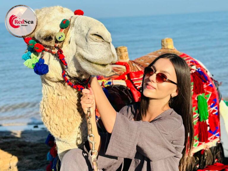 wycieczki-hurghada-redseatrips-pustynne-morskie-kair-luksor-piramidy-quady-delfiny-safari-delfiny-giftun-hula-paradise-orange-city tour-27
