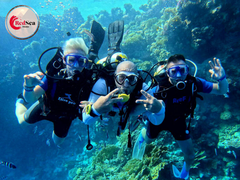 wycieczki-hurghada-redseatrips-pustynne-morskie-kair-luksor-piramidy-quady-delfiny-safari-delfiny-giftun-hula-paradise-orange-city tour-32