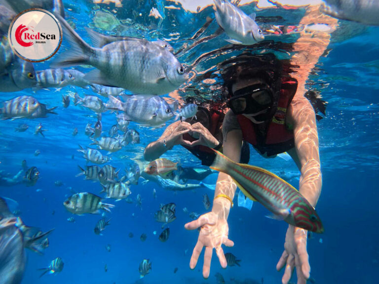 wycieczki-hurghada-redseatrips-pustynne-morskie-kair-luksor-piramidy-quady-delfiny-safari-delfiny-giftun-hula-paradise-orange-city tour-38