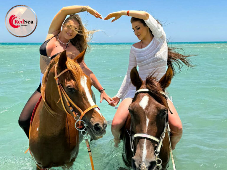 wycieczki-hurghada-redseatrips-pustynne-morskie-kair-luksor-piramidy-quady-delfiny-safari-delfiny-giftun-hula-paradise-orange-city tour-40
