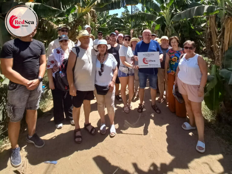 wycieczki-hurghada-redseatrips-pustynne-morskie-kair-luksor-piramidy-quady-delfiny-safari-delfiny-giftun-hula-paradise-orange-city tour-57