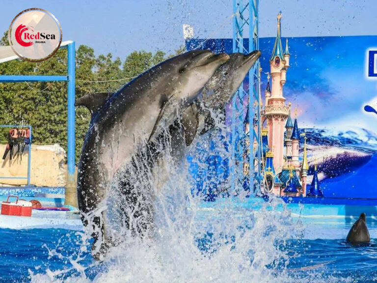 wycieczki-hurghada-redseatrips-pustynne-morskie-kair-luksor-piramidy-quady-delfiny-safari-delfiny-giftun-hula-paradise-orange-city tour-59