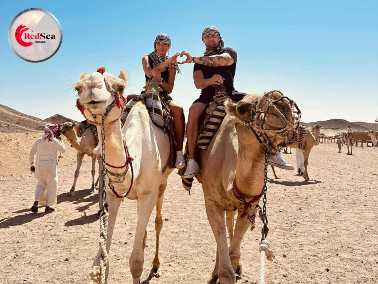 wycieczki-hurghada-redseatrips-pustynne-morskie-kair-luksor-piramidy-quady-delfiny-safari-delfiny-giftun-hula-paradise-orange-city tour-61
